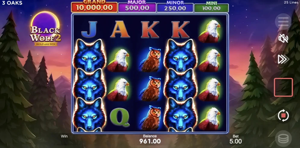 Black Wolf